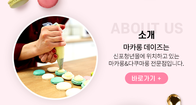 마카롱데이즈 소개